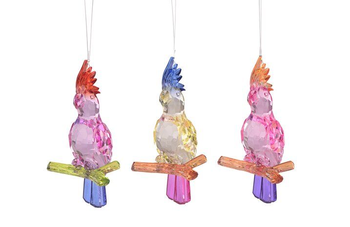 Birds Kakadu mehrfarbig