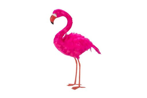 Flamingo stehend