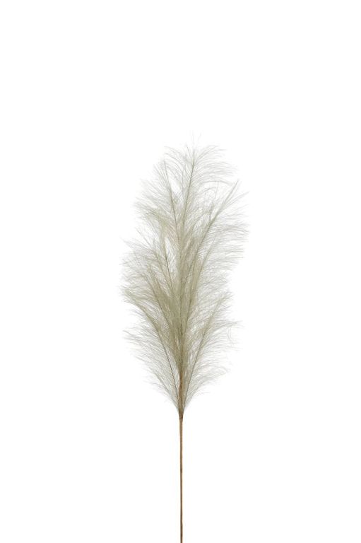 Pampas Deko-Zweig grau