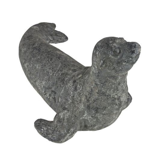 Robbe groß